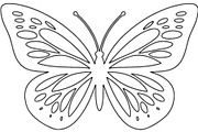 Ornamental Butterfly SVG Bundle, an Object Graphic by Gfx_Store (Thumbnail 15 of 16)