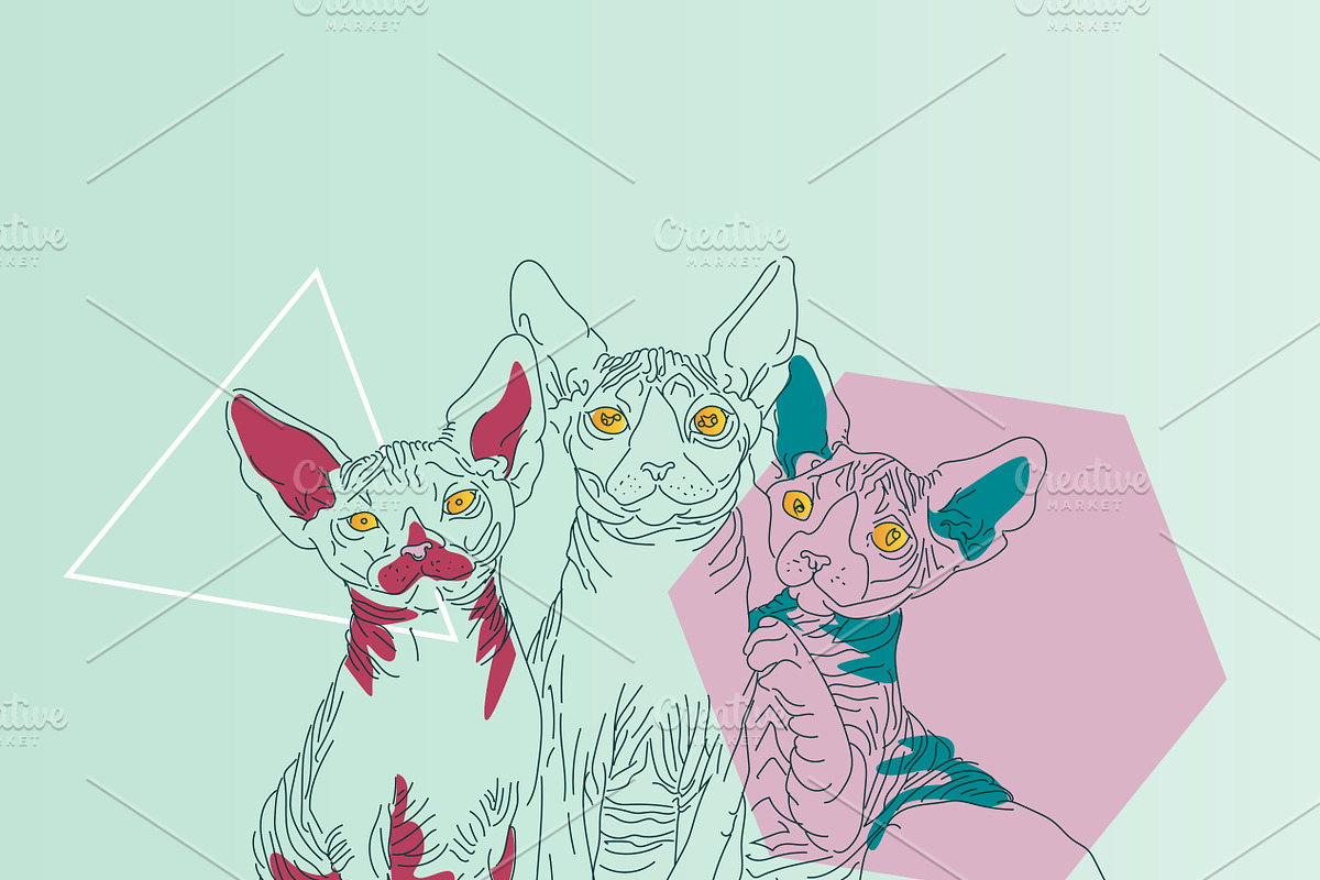 The cats, an Animal Illustration by 2D/3D (Photo 3 of 5)