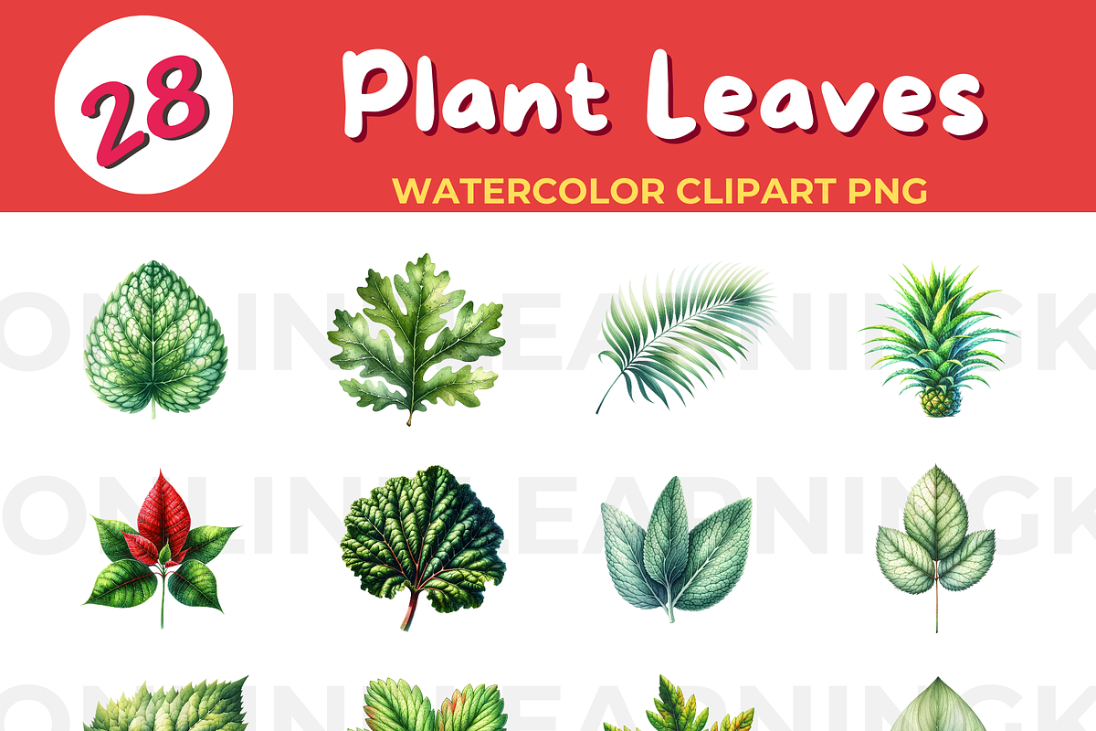 Botanical Beauty: Explore Nature's D, an Education Illustration by John_Walker (Photo 2 of 2)