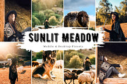 10 Sunlit Meadow Lightroom Presets, a Preset Add-On by LucaTheme (Thumbnail 1 of 9)