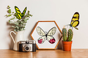 Butterflies clipart watercolor, an Animal Illustration by ElladesignCo (Thumbnail 2 of 6)