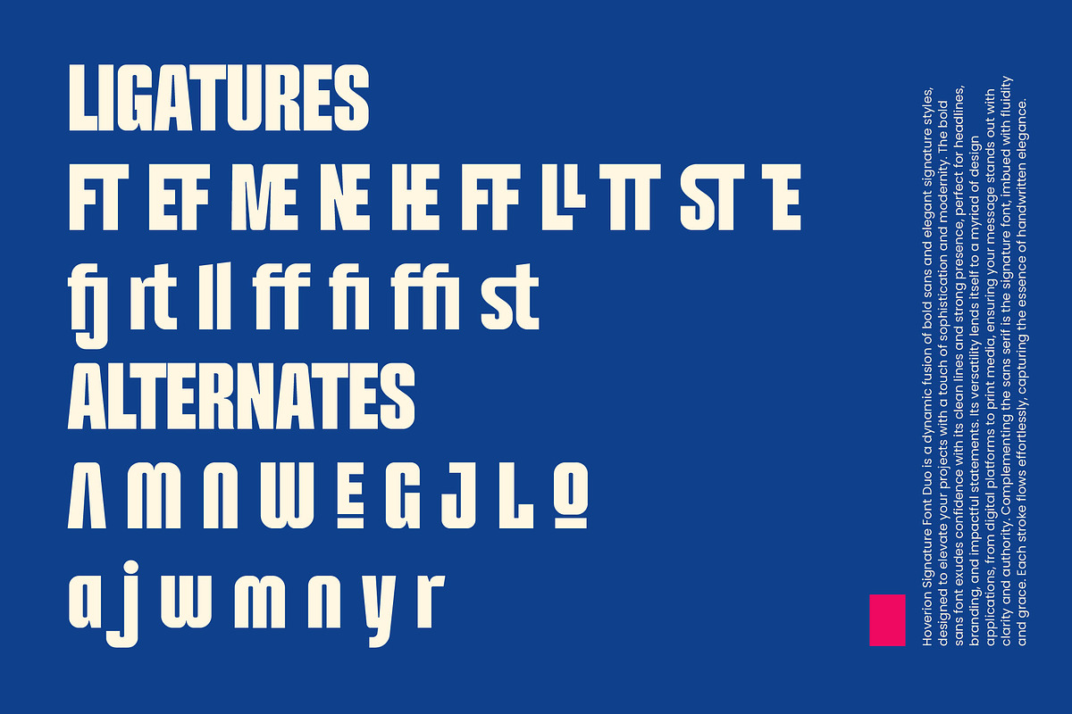 Hoverion - Sans & Signature Font Duo, a Sans Serif Font by Variatype (Photo 10 of 12)