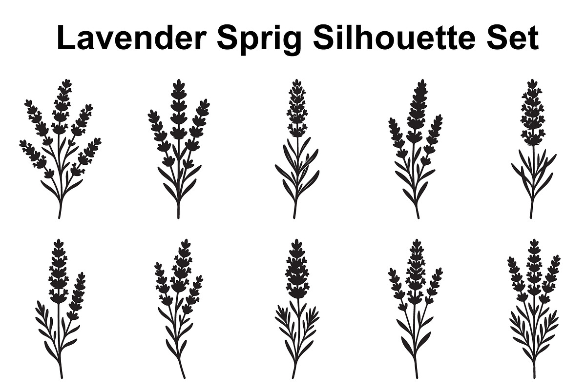 Lavender Botanical Silhouette Set, an Object Graphic by Designs_River (Photo 1 of 3)