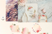 Warm Pastel - Summer flowers, an Illustration by ollalya (Thumbnail 5 of 11)