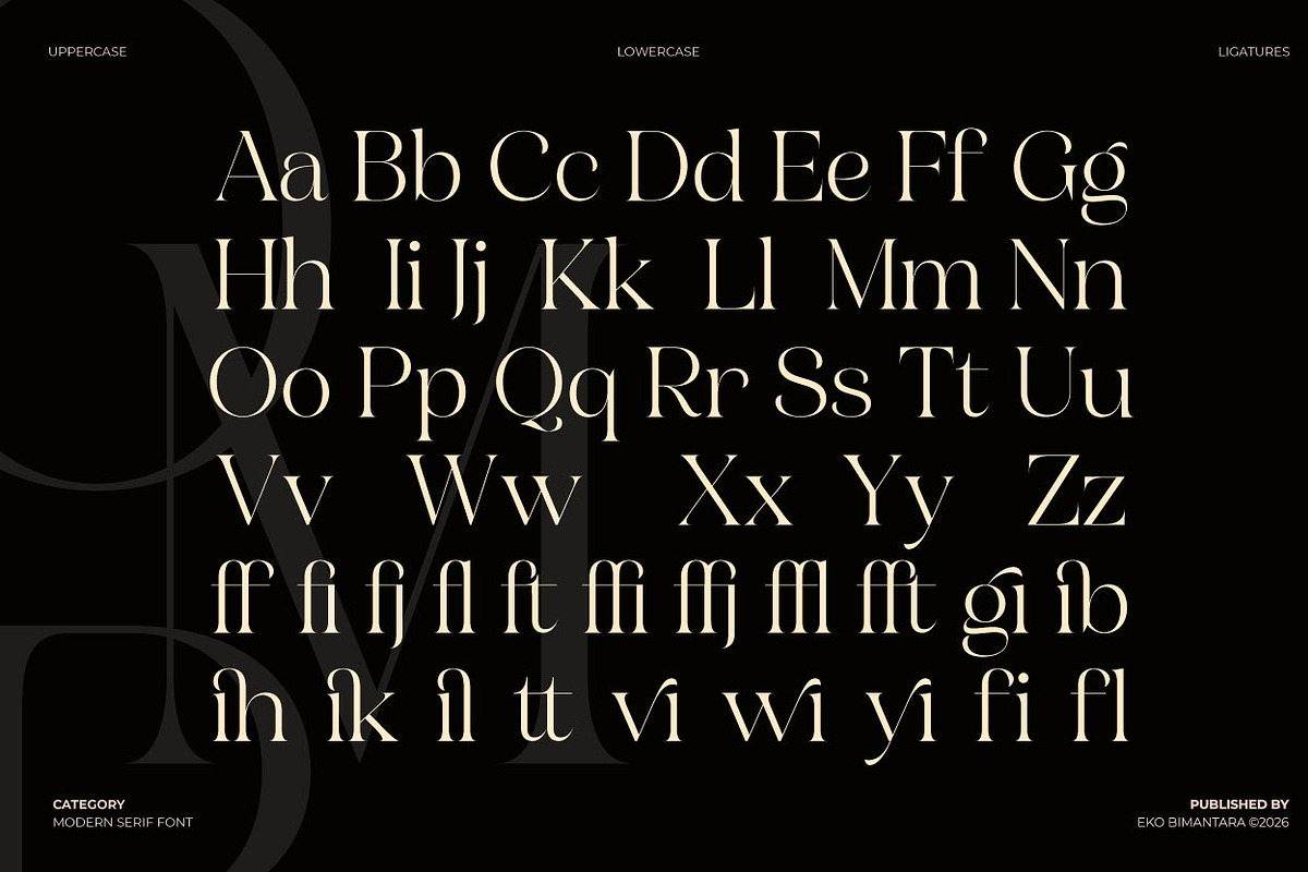 Austerlane; Display Serif Font, a Script Font by Eko Bimantara (Photo 7 of 11)