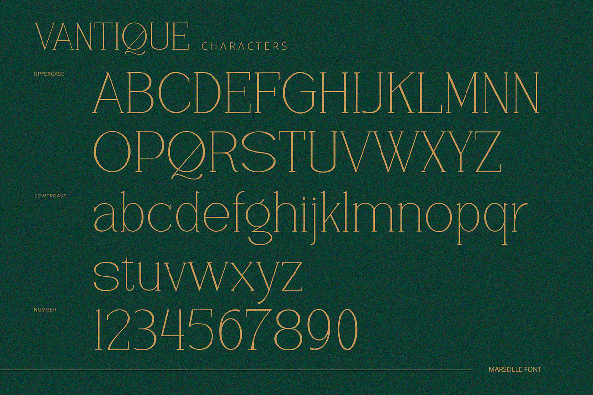 Vantique - Serif Font, a Serif Font by Alpaprana (Photo 8 of 10)