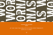 Wornas, a Serif Font by Nathatype (Thumbnail 11 of 11)