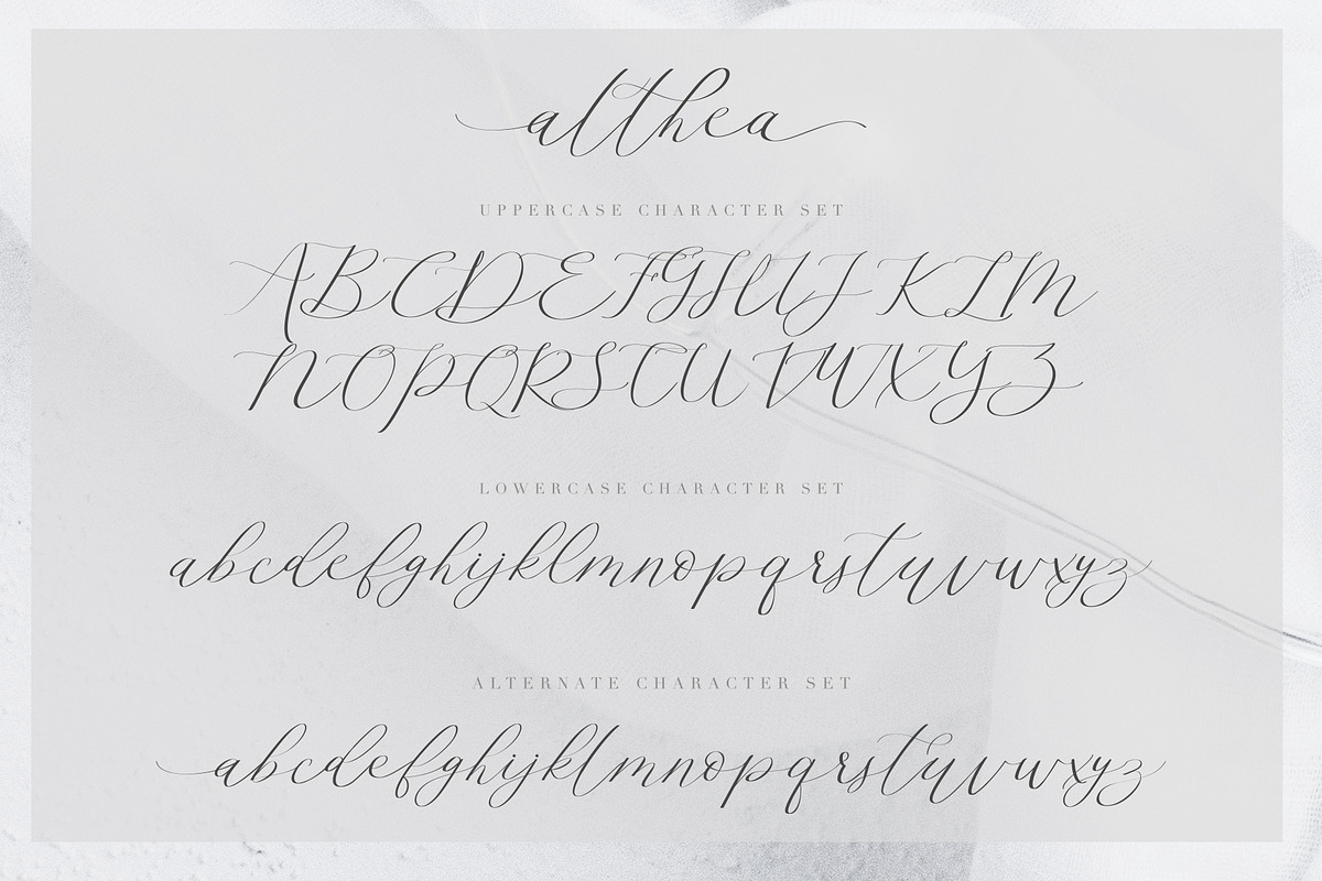 Althea Script, a Script Font by Chocotype Std (Photo 9 of 11)