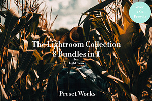 The Lightroom Collection - 8 bundles