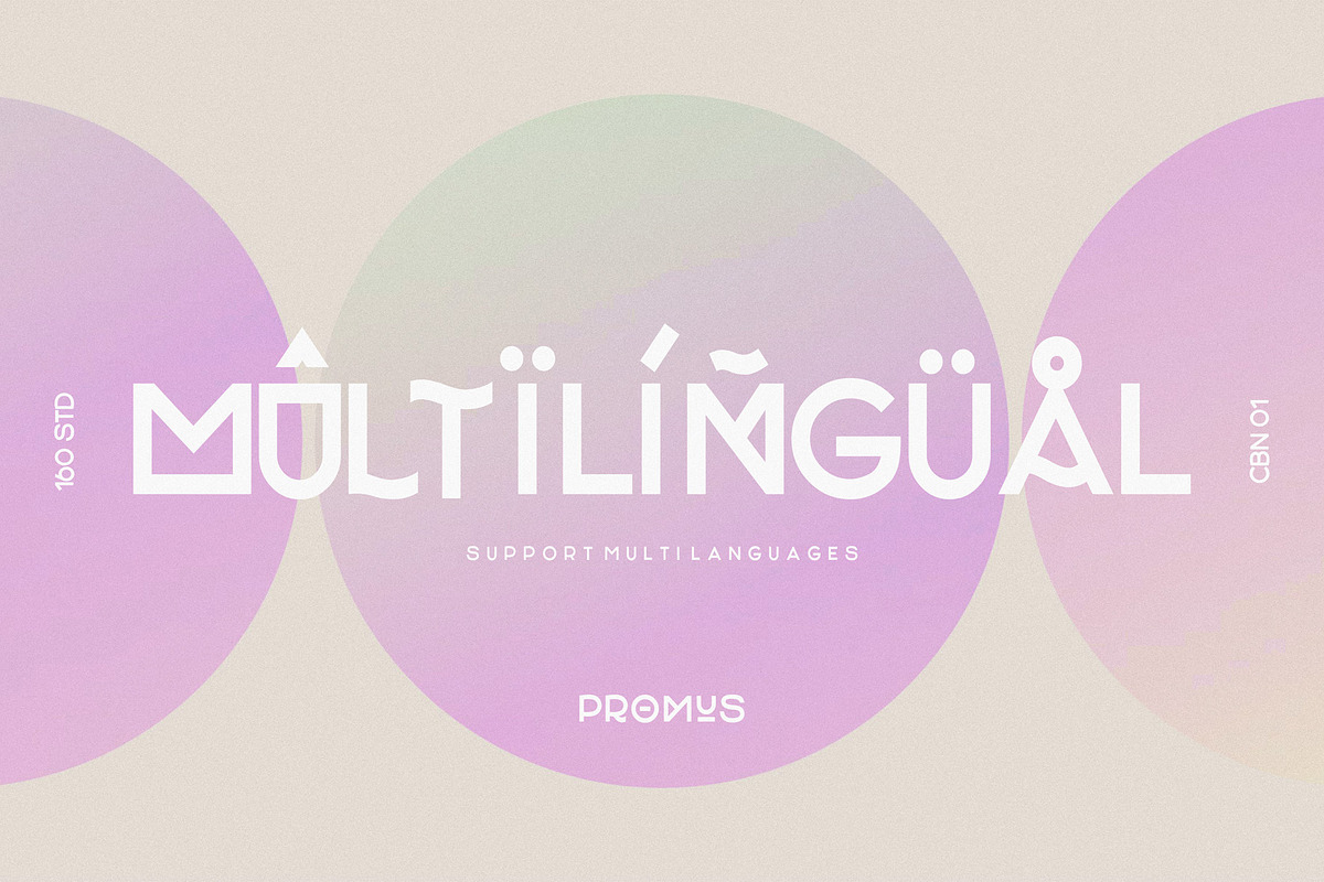 Promus Display Font, a Sans Serif Font by 160 Studio (Photo 7 of 10)