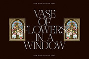 Nocashe New Display Serif Font, a Serif Font by Storytype Studio (Thumbnail 4 of 15)