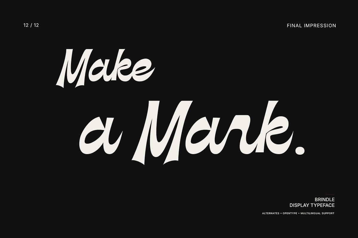 Brindle — Bold Script Display Font, a Handwritten Font by Hasbi Creative (Photo 12 of 12)