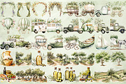 Watercolor Olive Clipart Bundle, an Illustration by NiiiNArt (Thumbnail 7 of 12)