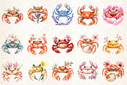 Cute Floral Crab Clipart, an Illustration by Rose Art (Thumbnail 2 of 4)
