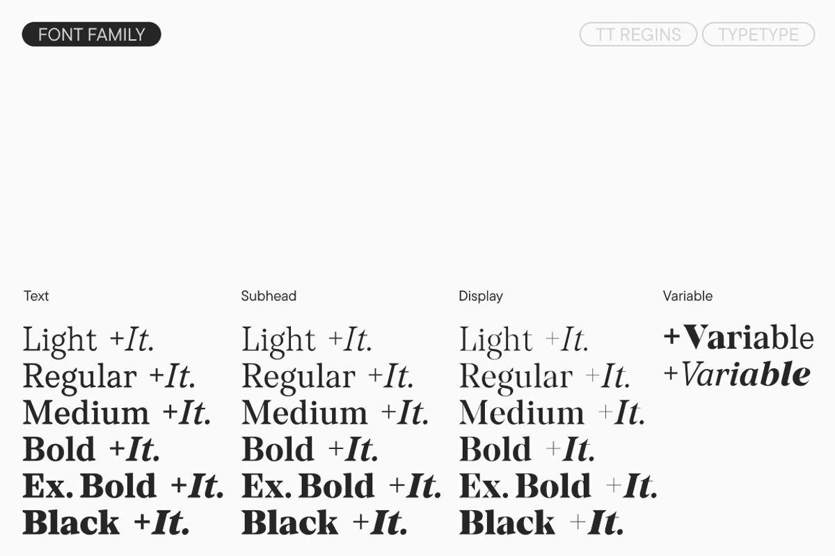 TT Regins, a Serif Font by TypeType (Photo 4 of 15)