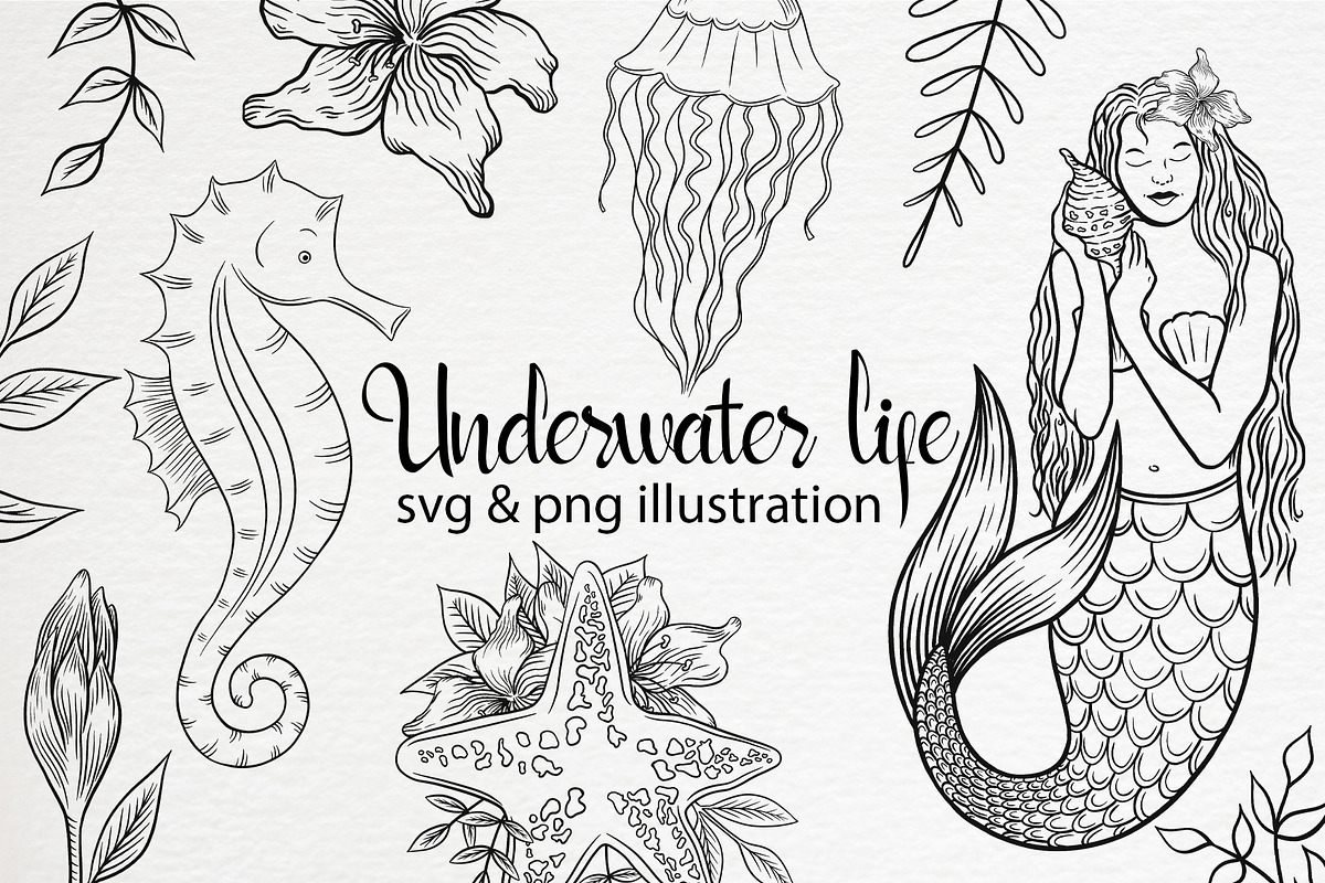 Underwater life set clipart, an Illustration by Gennadi Digital Studio (Photo 1 of 6)