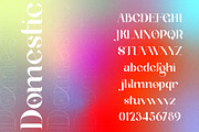 Suika a Modern / Vintage Font, a Serif Font by Lettertype Studio (Thumbnail 6 of 15)