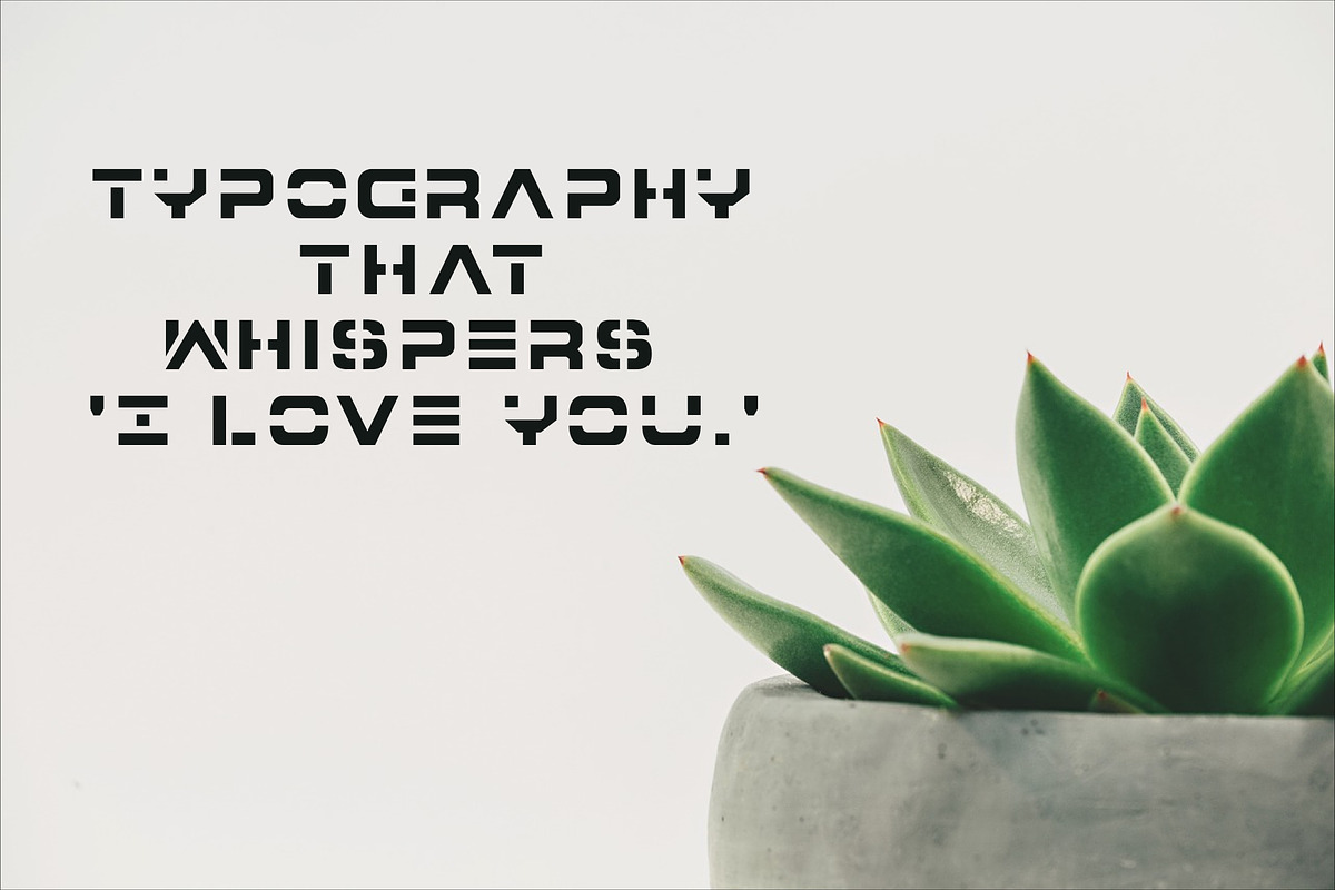 Font: Elevate Your Desig, a Serif Font by Ink & Pixel Dreams (Photo 3 of 8)