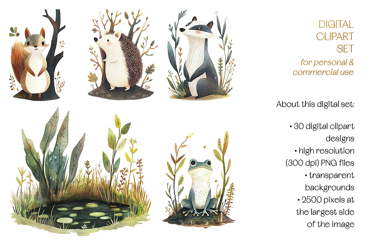 The Naive Woodlands Clipart Set, a Decorative Illustration by The Dutch Lady Designs (Photo 7 of 7)