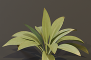 The Haran Bush, a Plants & Tree 3D Model by FuturePastCreatives (Thumbnail 12 of 13)