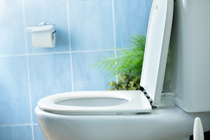 Detail of the side of a clean white toilet bowl with the lid ope, a Health & Medical Photo by Davizro's Market