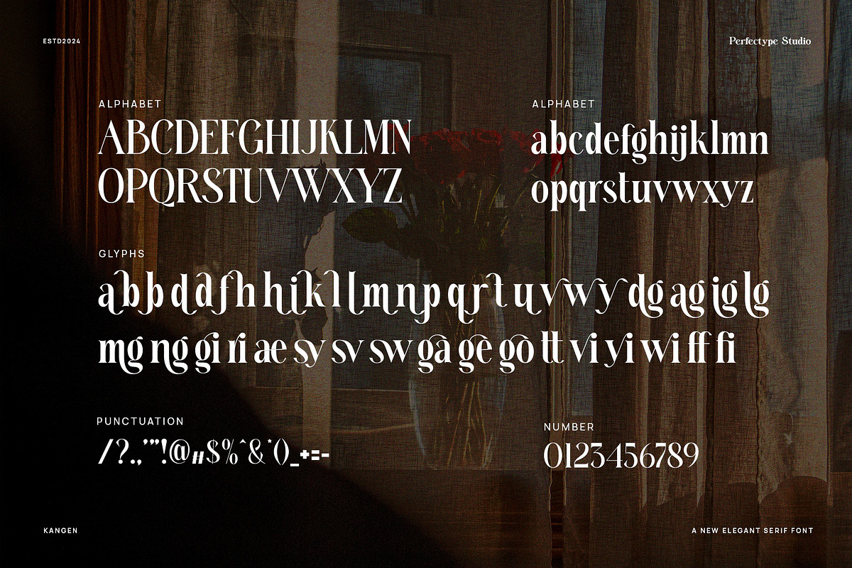 Kangen Modern Serif Font, a Serif Font by Perfectype (Photo 8 of 8)