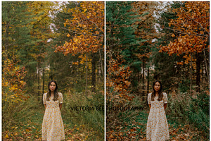 30 MOODY AUTUMN PRESETS