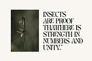Garden Elegant Ligature Serif Font, a Serif Font by Graphicxell (Thumbnail 5 of 7)