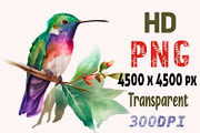 Watercolor Hummingbirds PNG Clipart, a Decorative Illustration by ARTify Illustrations (Thumbnail 2 of 6)