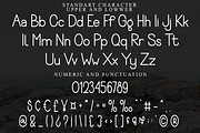 Architect Designer, a Sans Serif Font by FreshTypeINK (Thumbnail 8 of 8)
