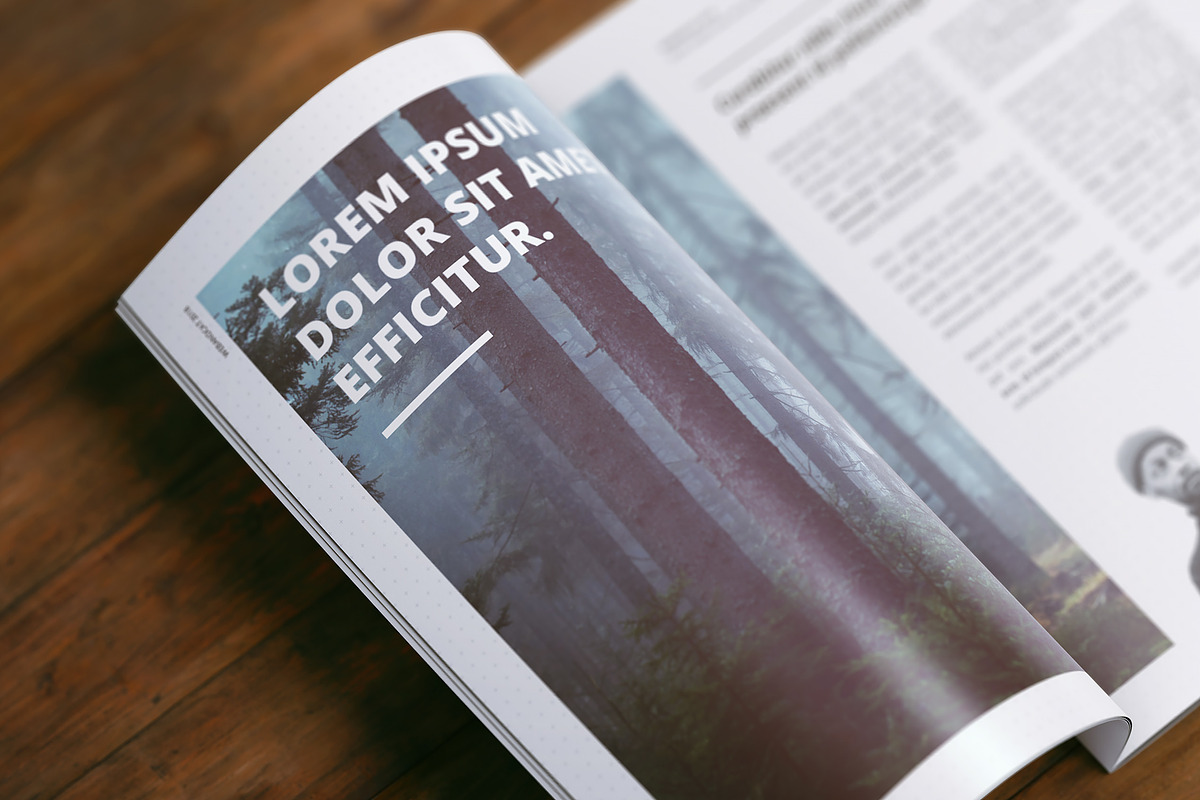 A4 Magazine | Brochure Mock-up, a Books & Magazine Mockup by WebAndCat (Photo 21 of 32)