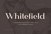 The Versatile Font Bundle, a Sans Serif Font by AlienValley (Thumbnail 3 of 141)