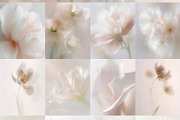 Ethereal Floral Backgrounds Bundle, an Abstract Photo by Allure Art (Thumbnail 21 of 26)