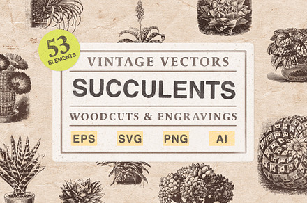 The Houseplant Collection