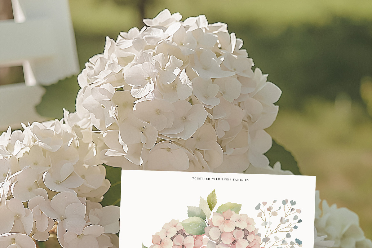 Hydrangea Watercolor Invitation Set, a Decorative Illustration by Sunshine Art (Photo 3 of 13)