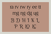 Welcome to Lettering, a Serif Font by RockboyStd (Thumbnail 11 of 12)