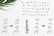 Ravishing Solidago Font, a Handwritten Font by Letterhanna Studio (Thumbnail 3 of 21)