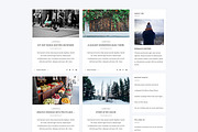 Aresivel -WordPress Blog Theme, a WordPress Template by myshopkit (Thumbnail 11 of 14)