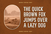 Bronco Valley - Vintage Serif, a Serif Font by Variatype (Thumbnail 4 of 8)