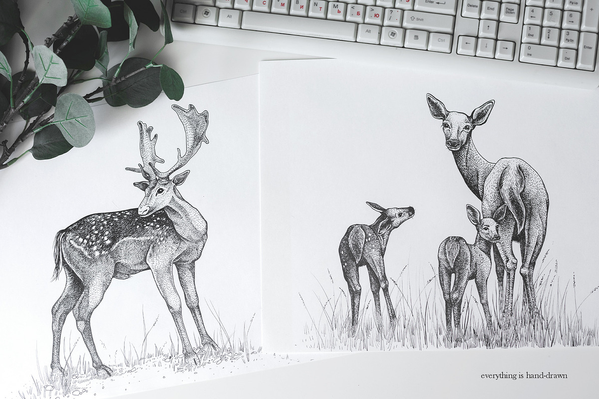 Deers, an Illustration by YuliaBiser (Photo 3 of 4)