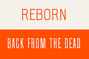 Vintage Tall Sans and Spur Serif, a Sans Serif Font by Century Library (Thumbnail 3 of 5)