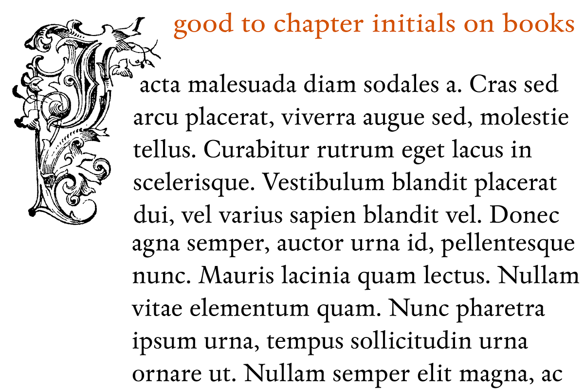 Kidnapped at Old Times 36, a Blackletter Font by Intellecta Design (Photo 3 of 4)