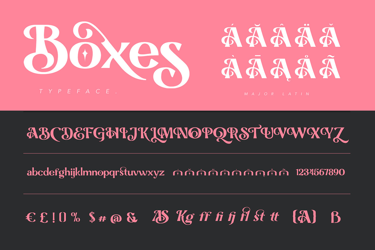 Boxes, a Serif Font by Naksatra (Photo 14 of 14)