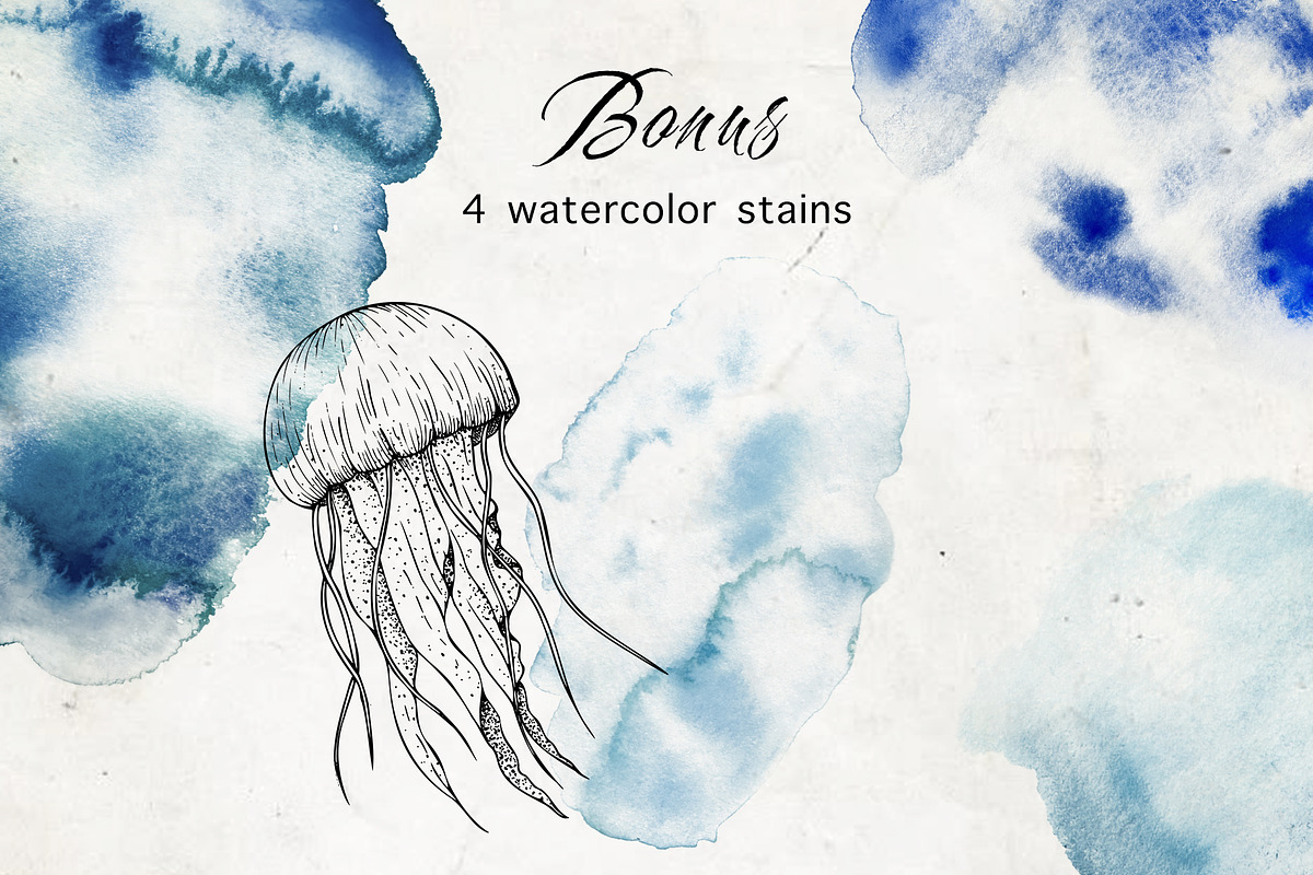 Ocean | Vector line art collection, an Illustration by Navenzeles (Photo 10 of 11)