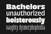 Norsy - Variable Display, a Sans Serif Font by Adam Fathony (Thumbnail 7 of 19)
