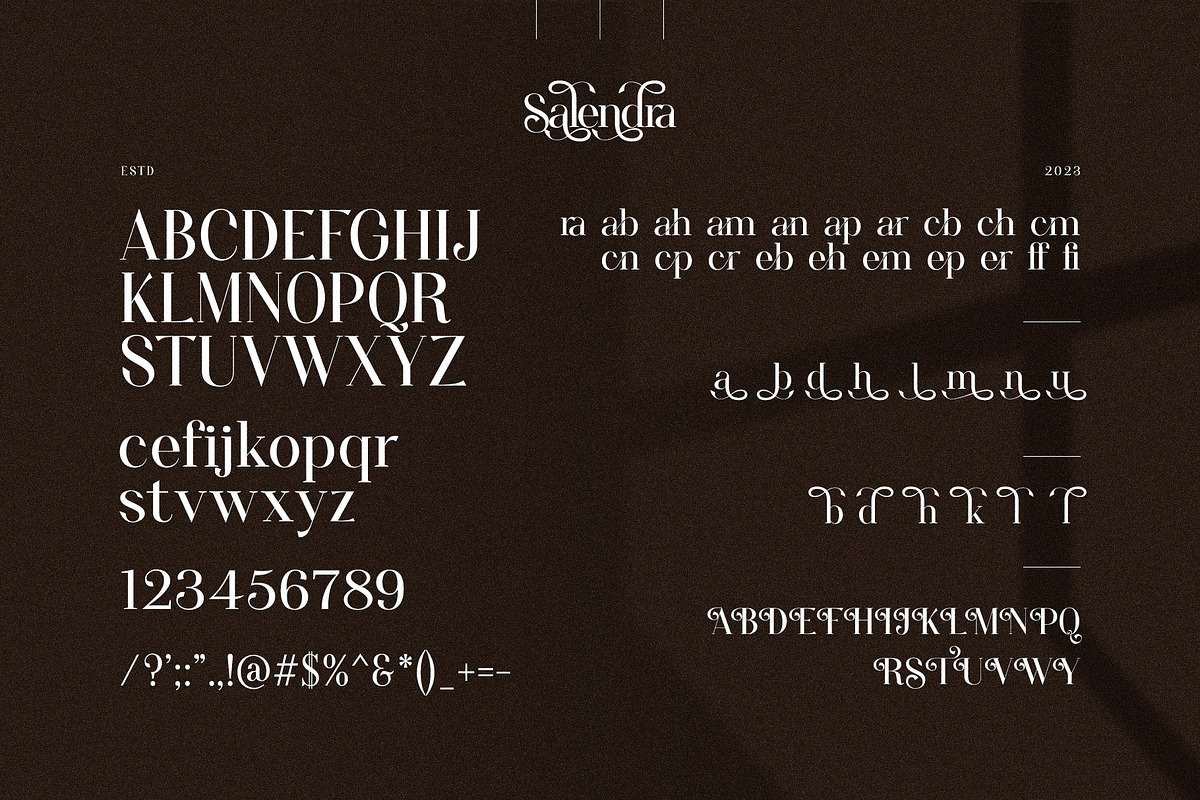 Salendra Elegant Ligature Serif Font, a Serif Font by Graphicxell (Photo 10 of 10)