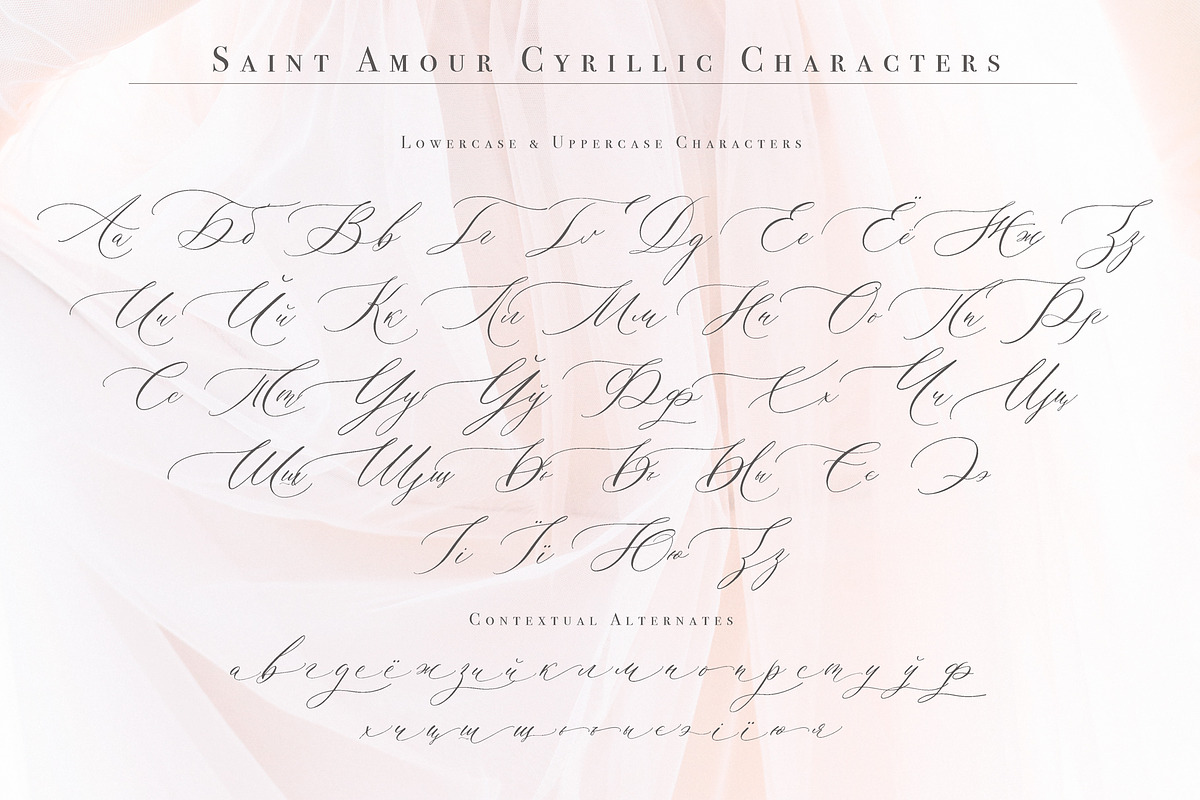 Saint Amour Script, a Script Font by Calamar Studio (Photo 13 of 19)