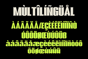 Moneter - A Modern Condensed Font, a Sans Serif Font by Marvadesign (Thumbnail 5 of 5)