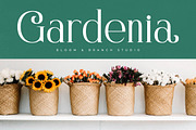 Nostalgin Beauty Alternate Serif, a Serif Font by Letterena Studios (Thumbnail 7 of 15)