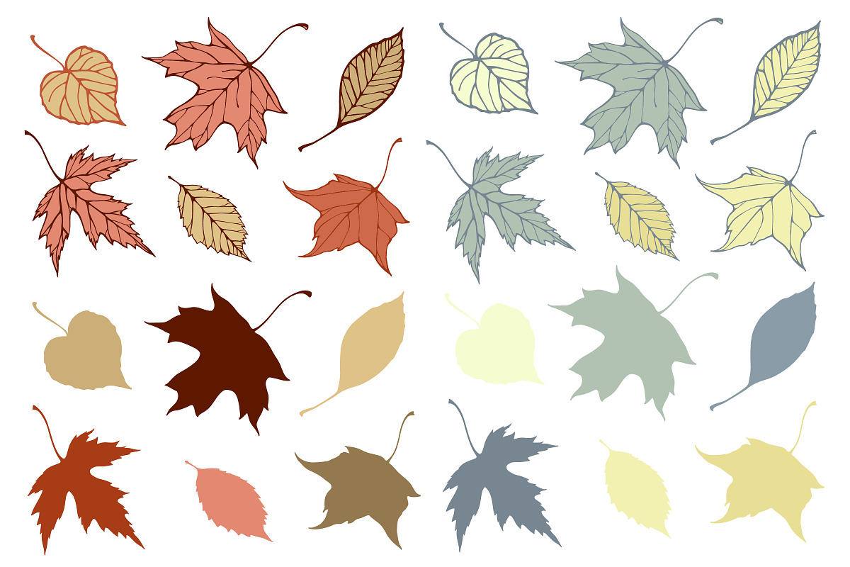 Fall leaves patterns+illustrations, a Decorative Illustration by IreneArt illustrations (Photo 3 of 7)